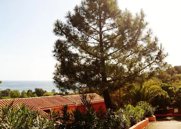 San Pieru فندق