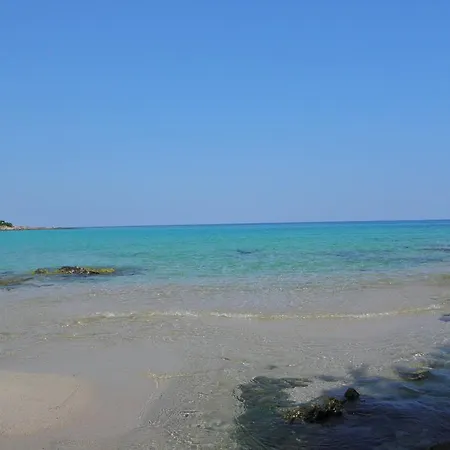 San Pieru Tarcu