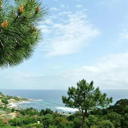 San Pieru Tarcu