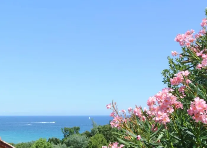 San Pieru מלון 4*