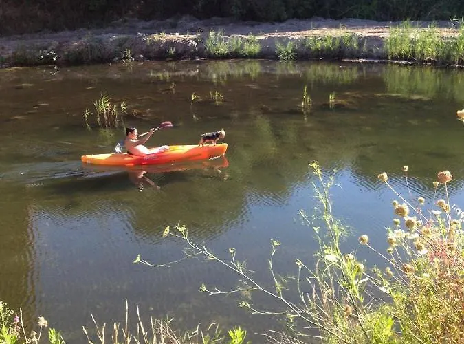 San Pieru מלון Tarcu